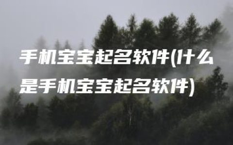 手机宝宝起名软件(什么是手机宝宝起名软件)