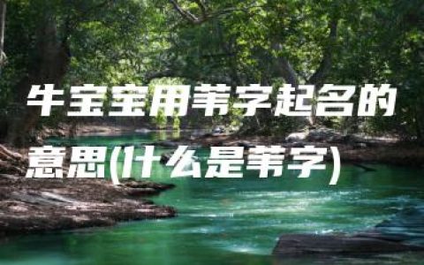 牛宝宝用苇字起名的意思(什么是苇字)