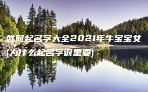 姓何起名字大全2021年牛宝宝女(为什么起名字很重要)