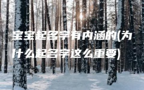 宝宝起名字有内涵的(为什么起名字这么重要)