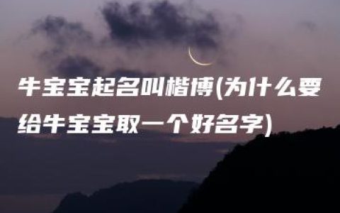 牛宝宝起名叫楷博(为什么要给牛宝宝取一个好名字)