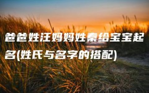 爸爸姓汪妈妈姓秦给宝宝起名(姓氏与名字的搭配)