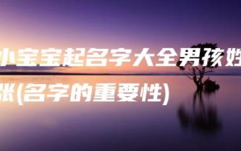 小宝宝起名字大全男孩姓张(名字的重要性)