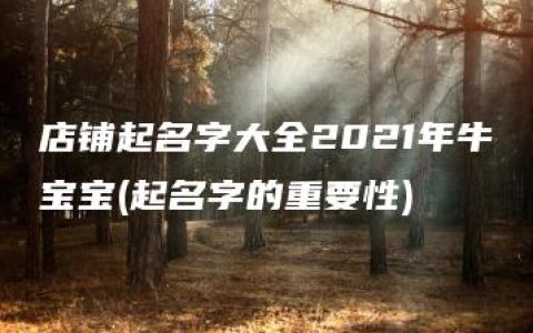 店铺起名字大全2021年牛宝宝(起名字的重要性)