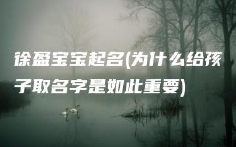 徐盈宝宝起名(为什么给孩子取名字是如此重要)