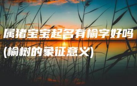 属猪宝宝起名有榆字好吗(榆树的象征意义)