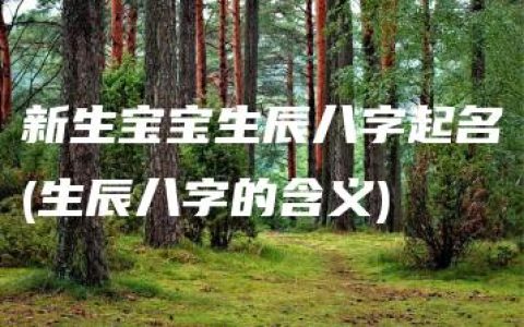 新生宝宝生辰八字起名(生辰八字的含义)