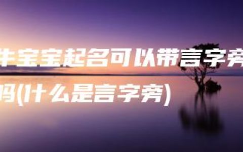 牛宝宝起名可以带言字旁吗(什么是言字旁)