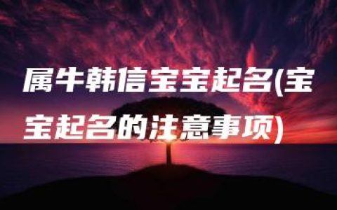 属牛韩信宝宝起名(宝宝起名的注意事项)