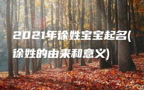 2021年徐姓宝宝起名(徐姓的由来和意义)