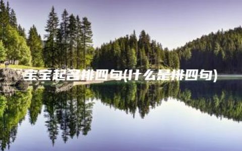 宝宝起名排四句(什么是排四句)