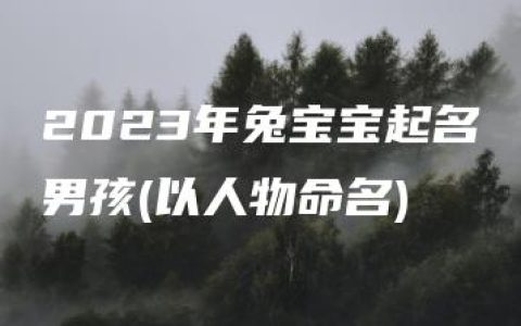 2023年兔宝宝起名男孩(以人物命名)