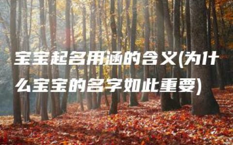 宝宝起名用涵的含义(为什么宝宝的名字如此重要)