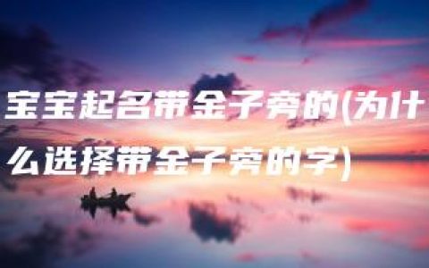 宝宝起名带金子旁的(为什么选择带金子旁的字)