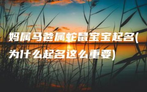 妈属马爸属蛇鼠宝宝起名(为什么起名这么重要)