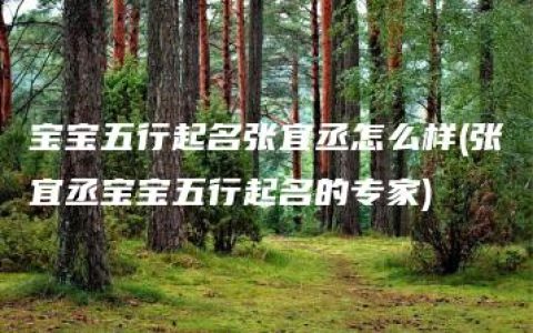 宝宝五行起名张宜丞怎么样(张宜丞宝宝五行起名的专家)