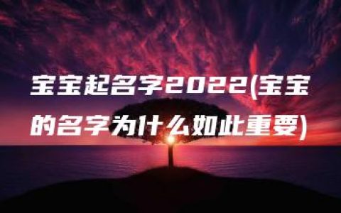 宝宝起名字2022(宝宝的名字为什么如此重要)