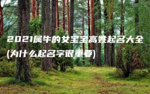 2021属牛的女宝宝高姓起名大全(为什么起名字很重要)