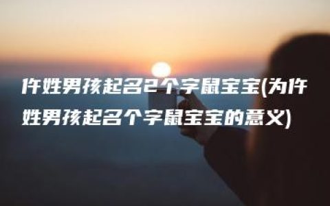 仵姓男孩起名2个字鼠宝宝(为仵姓男孩起名个字鼠宝宝的意义)