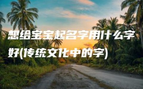 想给宝宝起名字用什么字好(传统文化中的字)