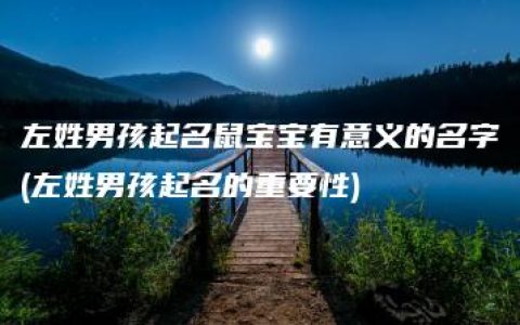 左姓男孩起名鼠宝宝有意义的名字(左姓男孩起名的重要性)