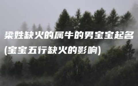 梁姓缺火的属牛的男宝宝起名(宝宝五行缺火的影响)