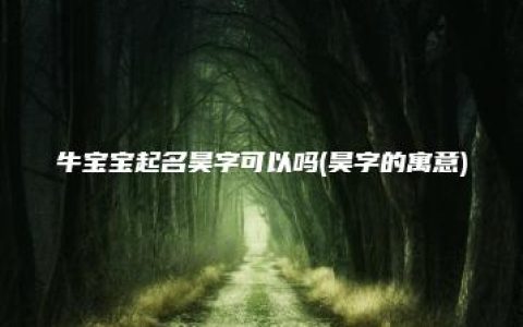 牛宝宝起名昊字可以吗(昊字的寓意)