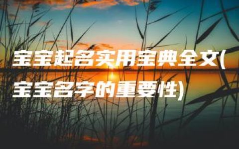 宝宝起名实用宝典全文(宝宝名字的重要性)