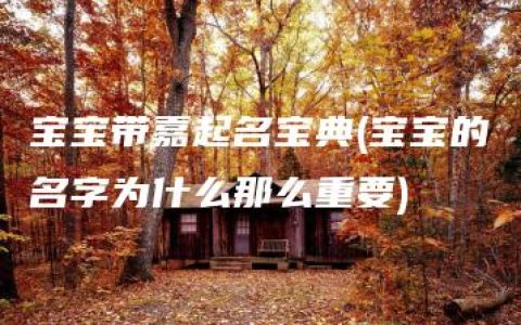 宝宝带嘉起名宝典(宝宝的名字为什么那么重要)