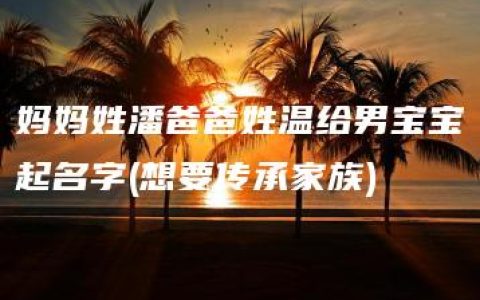 妈妈姓潘爸爸姓温给男宝宝起名字(想要传承家族)