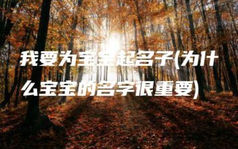 我要为宝宝起名子(为什么宝宝的名字很重要)