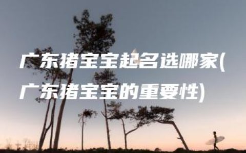 广东猪宝宝起名选哪家(广东猪宝宝的重要性)