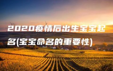 2020疫情后出生宝宝起名(宝宝命名的重要性)