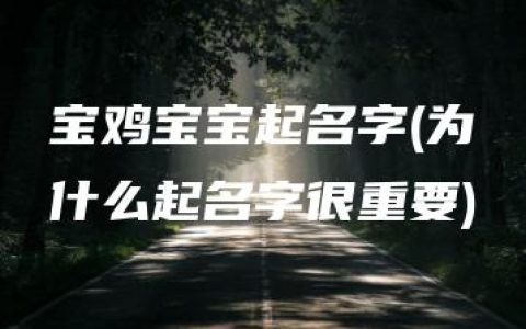 宝鸡宝宝起名字(为什么起名字很重要)