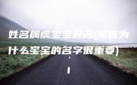 姓名属虎宝宝起名(前言为什么宝宝的名字很重要)