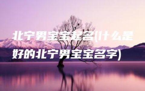 北宁男宝宝起名(什么是好的北宁男宝宝名字)