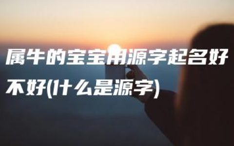 属牛的宝宝用源字起名好不好(什么是源字)