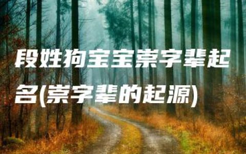 段姓狗宝宝崇字辈起名(崇字辈的起源)