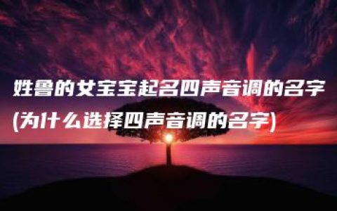 姓鲁的女宝宝起名四声音调的名字(为什么选择四声音调的名字)