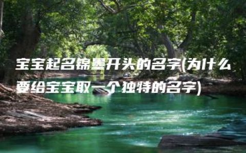 宝宝起名锦墨开头的名字(为什么要给宝宝取一个独特的名字)