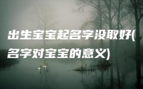 出生宝宝起名字没取好(名字对宝宝的意义)