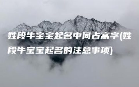 姓段牛宝宝起名中间占高字(姓段牛宝宝起名的注意事项)