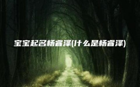 宝宝起名杨睿泽(什么是杨睿泽)