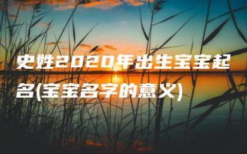 史姓2020年出生宝宝起名(宝宝名字的意义)