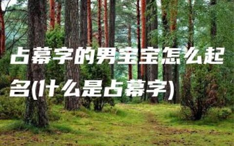 占幕字的男宝宝怎么起名(什么是占幕字)