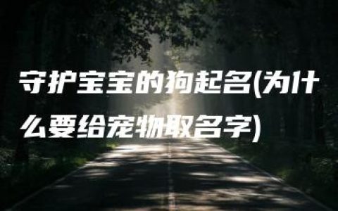 守护宝宝的狗起名(为什么要给宠物取名字)