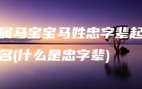 属马宝宝马姓忠字辈起名(什么是忠字辈)