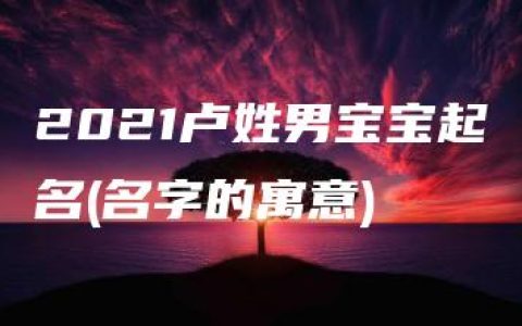 2021卢姓男宝宝起名(名字的寓意)