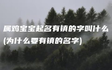 属鸡宝宝起名有镇的字叫什么(为什么要有镇的名字)