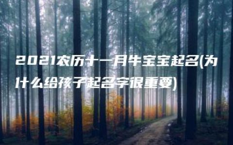 2021农历十一月牛宝宝起名(为什么给孩子起名字很重要)